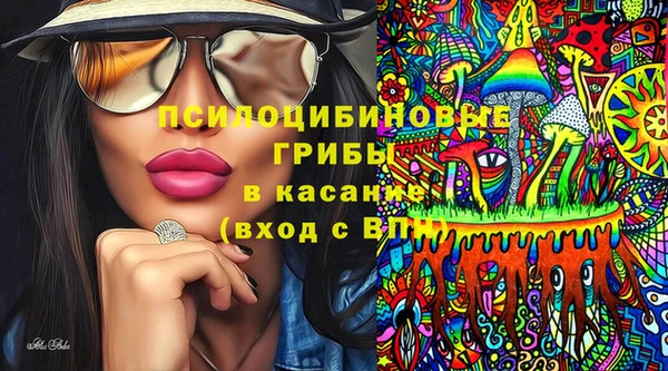 экстази Белокуриха