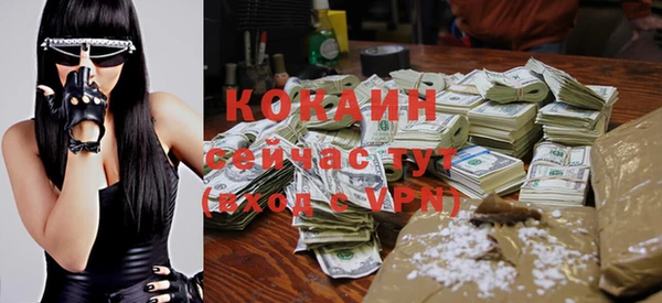 твердый Богданович