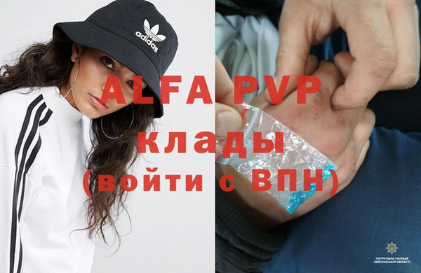 ГАЛЛЮЦИНОГЕННЫЕ ГРИБЫ Беломорск