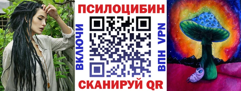 Купить где  Новоалександровск  Галлюциногенные грибы Cubensis 